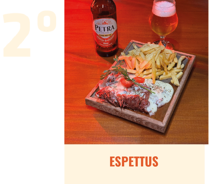 2º Lugar